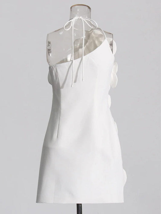 Andi Appliques Backless Mini Dress